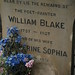 Blake Field Photo 25