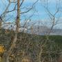 Susan Strickland Photo 40