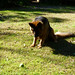 Stephen Boos Photo 19