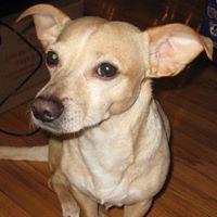 Dorothy Carter Photo 31