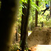 Jarrett Moore Photo 18