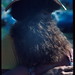 Tom Earley Photo 16