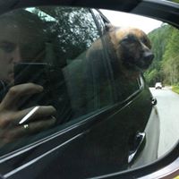 Adam Rhodes Photo 26