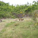 Philip Green Photo 42