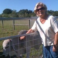 Betty Wolfe Photo 42