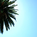 Tanya King Photo 22