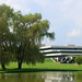 Donald Moore Photo 32