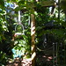 Nancy Parrot Photo 9