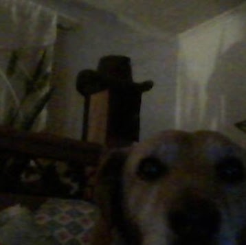 Frankie Sutton Photo 7