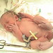 Daniel Jamison Photo 16