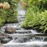 Albert Hong Photo 31