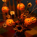 Susan Tripp Photo 19