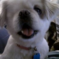 Elizabeth Applegate Photo 4