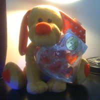 Houa Yang Photo 13