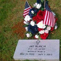 Stephen Burch Photo 42