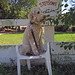 Martin Stetson Photo 5