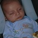 Michael Rocklin Photo 8