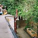 Robin Gray Photo 10