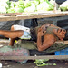 Cesar Nieves Photo 9