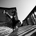 Francesco Vitiello Photo 2