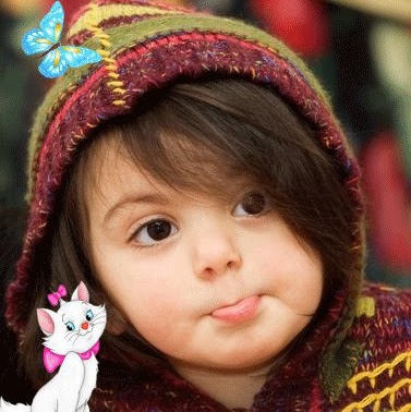 Anju Bansal Photo 8