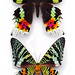 Christopher Marley Photo 8