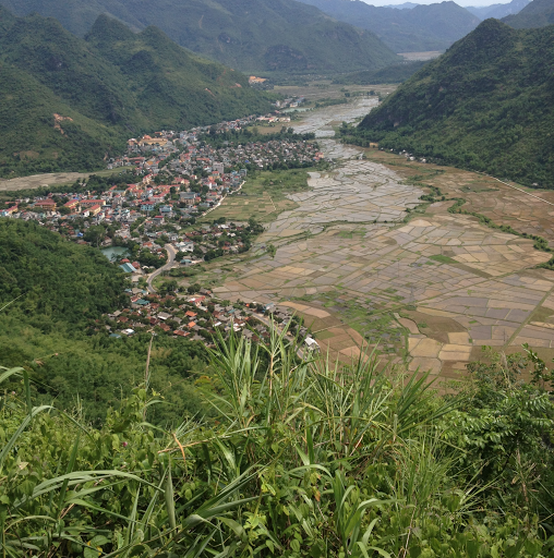 Truong Vu Photo 22