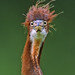Daniel Heron Photo 11