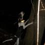 Joseph Tackett Photo 21