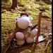 Shaun Small Photo 16