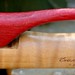 Lee Maple Photo 3
