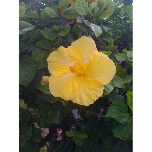 Donna Sherman Photo 13