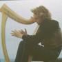 Robin Williamson Photo 11