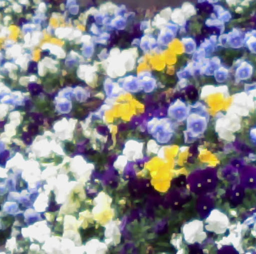 Joyce Stanley Photo 35