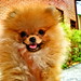 Linda Spitz Photo 28