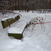 Kelly Wald Photo 15