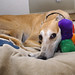 Carroll Timms Photo 5