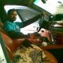 Noor Hussain Photo 33