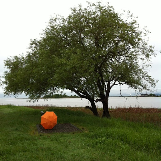 Christoph Kapp Photo 2
