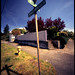 Joe Acker Photo 17