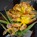 Julie Withers Photo 23