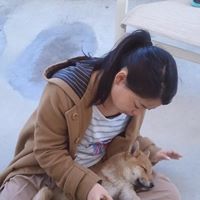 Tomomi Watanabe Photo 16