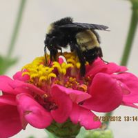 Linda Quarles Photo 9