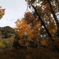Mary Timm Photo 6