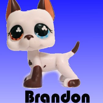 Brandon Michaelis Photo 14