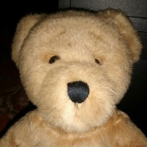 Paul Cassidy Photo 8