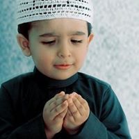 Syed Shahabuddin Photo 23