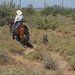 Shanon Brooks Photo 12