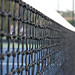 Rick Miller Photo 16
