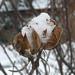 Sharon Newton Photo 10